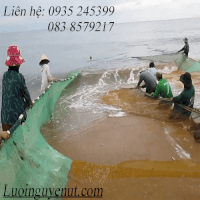 Lưới Rùng Kéo Vét Thủy Hải Sản Nguyễn Út