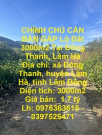 Chính Chủ Cần Bán Gấp Lô Đất 3000M2 Tại Đông Thanh, Lâm Hà