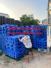 Pallet Nhựa Cũ Tại Bến Tre Giá Rẻ, Liên Hệ