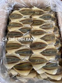 Báo Giá Cá Chỉ Vàng Khô Tuyển Chọn