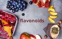 Flavonoids Và Những Điều Bạn Cần Biết