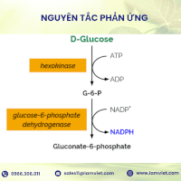 D-Glucose Hk Assay Kit