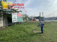 Dịch Vụ Tư Vấn Cải Tạocảnh Quan Sân Vườn Ở Hcm, Đồng Nai, Brvt