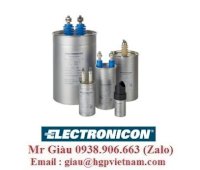 Electronicoelectronicon Việt Nam