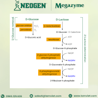 Lactose Assay Kit - Neogen - Megazyme