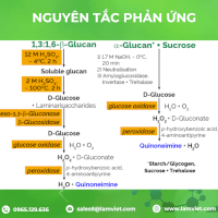 Β-Glucan Assay Kit (Yeast And Mushroom) - Megazyme