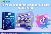 Lý Do Nên Sử Dụng Phần Mềm Reup Video Tiktok Phiên Bản Mới Nhất 2024