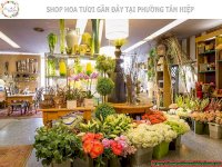 Shop Hoa Tươi Gần Đây Phường Tân Hiệp