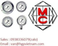 Mc Daniel Controls Việt Nam 4