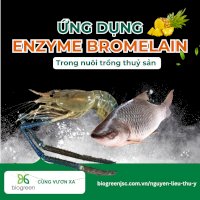 Mua Bán Enzyme Bromelain Trong Nuôi Trồng Thủy Sản