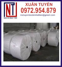 Cung Cấp Manh Pp Dệt Dạng Cuộn Tại Long An