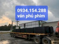 Ván Phủ Phim 1Mx2M Tđp, Cốp Pha Phim Rồng Tại Đồng Nai