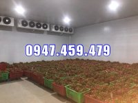 0947 459 479 Lắp Đặt Kho Lạnh Trữ Trái Thanh Long Bình Thuận, Lên Bản Vẽ Chi Tiết