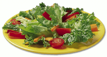 Salad rau trộn kiểu Jafa