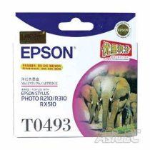 Epson T0493