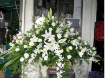 HN018(hoa để giữa bàn hội nghị)