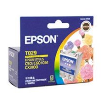 EPSON T029