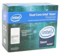 Intel Xeon Dual-Core 5060 (3.20 GHz, 4M L2 Cache, Socket 771, 1066 MHz FSB)