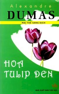 Hoa Tulip đen