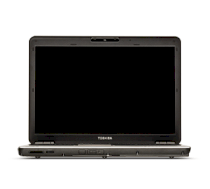 Toshiba Satellite Pro M300-S1002X (Intel Core 2 Duo T8300 2.4GHz, 2GB RAM, 160GB HDD, VGA Intel GMA X3100, 14.1 inch, Windows XP Professional)