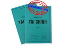 Báo cáo tài chính Doanh nghiệp nhỏ (190302)