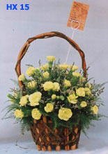 Beautiful Basket of Yellow Carnation (Cẩm chướng vàng)