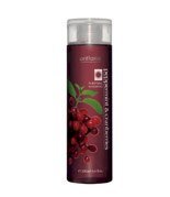 Dầu gội bạc hà -   Peppermint & Cranberries Purifying Shampoo 200ml