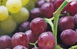 Nho đỏ - Grape ( Úc) không hạt