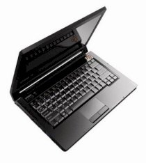 Lenovo IdeaPad Y430 (5901-9204)  (Intel Pentium Dual Core T3400 2.16GHz, 1GB RAM, 250GB HDD, VGA Intel GMA 4500MHD, 14.1 inch, Windows Vista Home Basic)