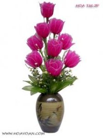 Hoa Tulip HV1043