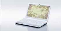 Sony VAIO VPC-CW1UFX/W (Intel Core 2 Duo T6600 2.2Ghz, 4GB RAM, 320GB HDD, VGA NVIDIA GeForce G 210M, 14 inch, Windows 7 Home Premium)