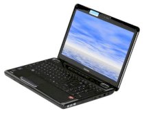 TOSHIBA Satellite L505D-S5994 (PSLV6U-00M002) (AMD Turion II M500 2.2GHz, 4GB RAM, 320GB HDD, VGA ATI Radeon 4100, 15.6inch, Windows 7 Home Premium) 