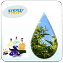 Tinh dầu trà xanh sản phẩm của BBW