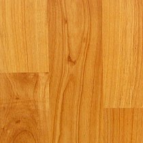 Sàn gỗ Pergo Family PF 4623