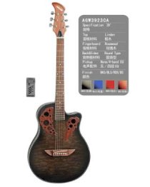 Acoustic Guitar AGW3923CA