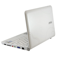 MSI Wind U100 Love Netbook (Intel Atom N270 1.6GHz, 1GB RAM, 160GB HDD, VGA Intel GMA 950, 10 inch, Windows XP Home)
