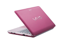 Sony Vaio VPC-W213AG/P (Intel Atom N450 1.66GHz, 1GB RAM, 250GB HDD, VGA Intel GMA 3150, 10.1 inch, Windows 7 Starter)