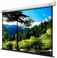 Màn chiếu điện điều khiển từ xa Dalite (160"x160") ( 4m07 x 4m07)