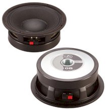 Loa DasAudio 10B