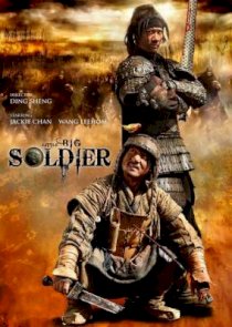 Little Big Soldier (2010)  2178