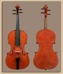 Violin Việt Nam 02