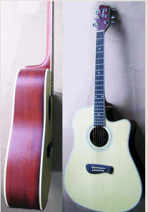 Acoustic Guitar 06