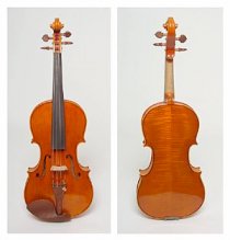 Violin Việt Nam 03
