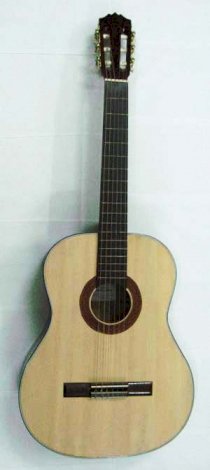 Acoustic Guitar 01