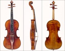Violin 01