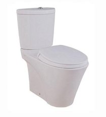 Bàn cầu Toto hai khối CW821W