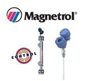 Thiết bị đo mức MAGNETROL MG01