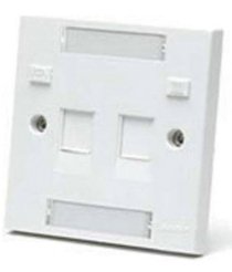 AMP BS Style Faceplate, 2-Port