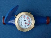 Đồng hồ đo đa tia Kiểu cánh quạt Merlion LXSG25 (DN 25)