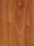 Sàn gỗ Hormann HV1160